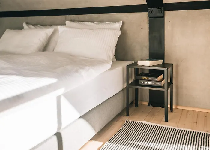 Projekt Cuberniok Alpehytte