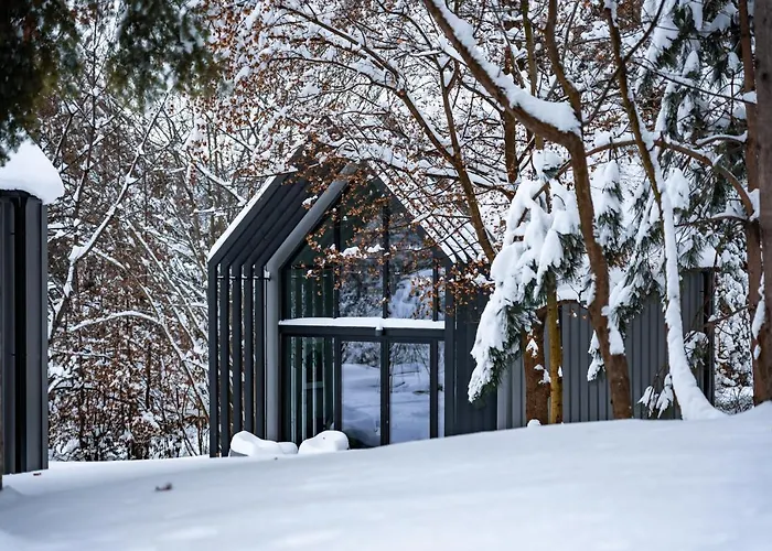 Projekt Cuberniok Chalet