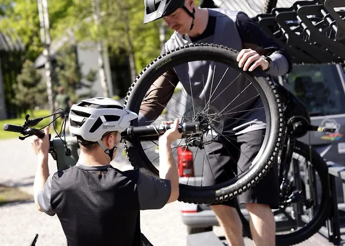 Alpehytte Projekt Cuberniok